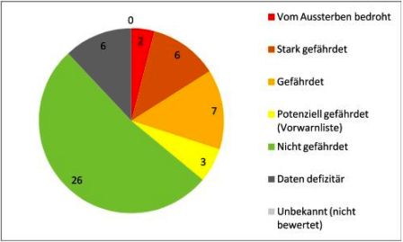 Gefhrdung_Krallenaffen_page_001.jpg